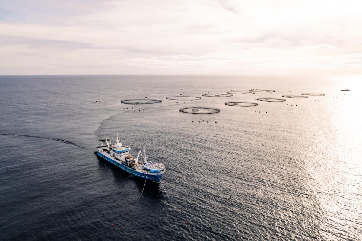 Boat near open net pens