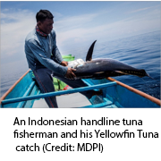 Fisheries Improvement Project (FIP) on Handline Tuna Initiatives