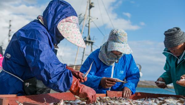 Women sorting fish on dock
