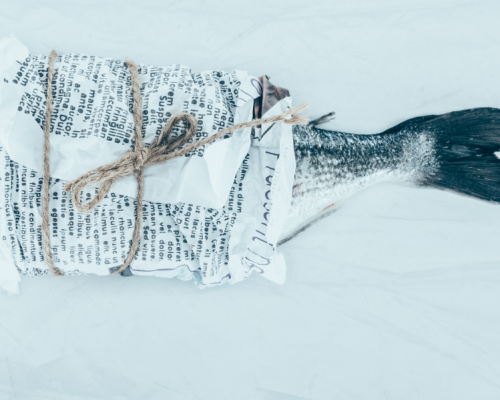 Fish in Newspaper